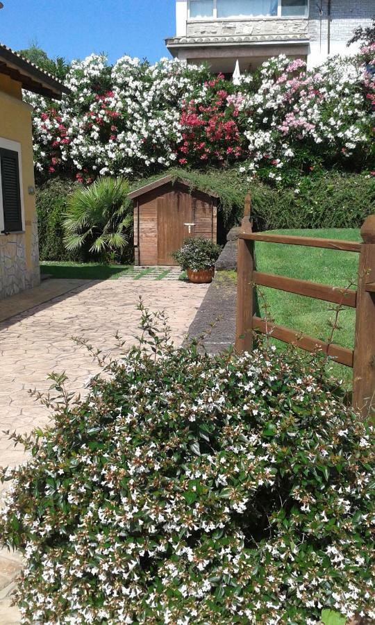 Bed and Breakfast L'Infinito à Carbognano Extérieur photo